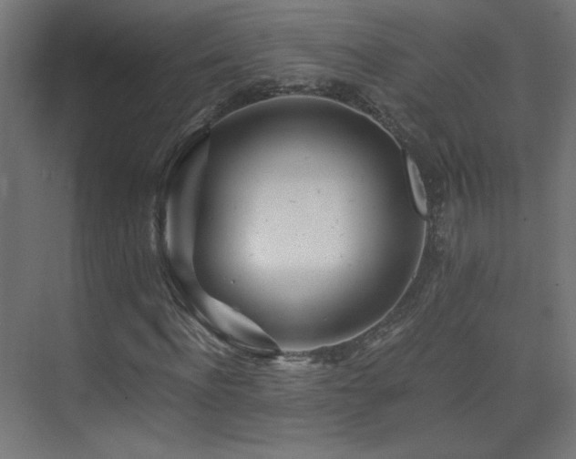 X0000075910916200609151425