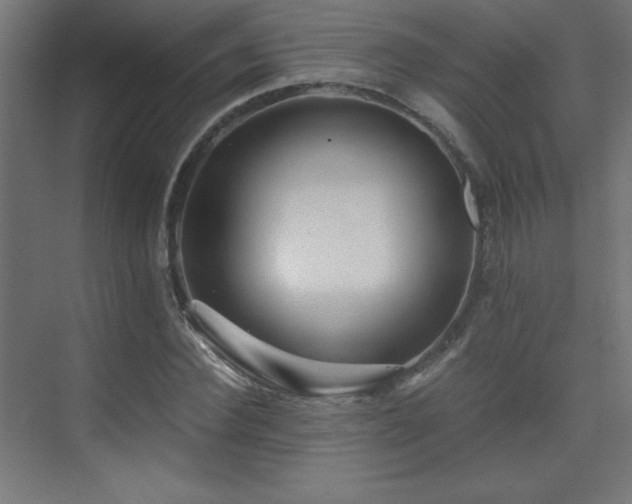 X0000075910924200609151425