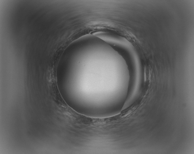 X0000075910965200609151424
