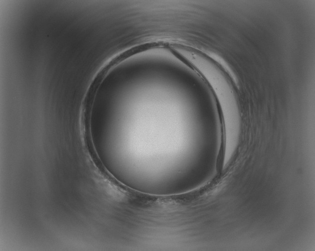 X0000075910983200609151424