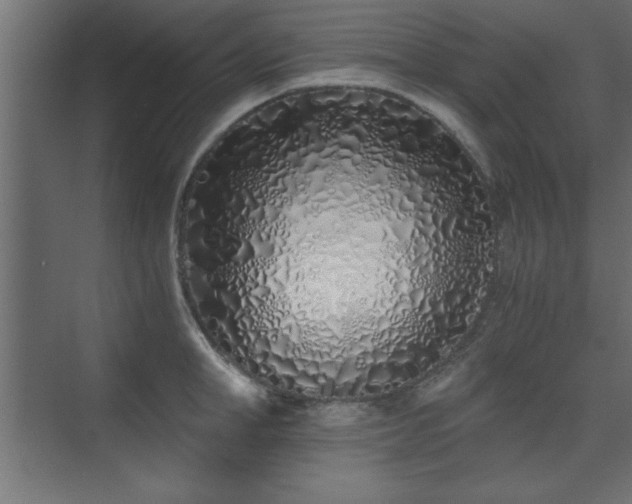 X0000075910998200609151424