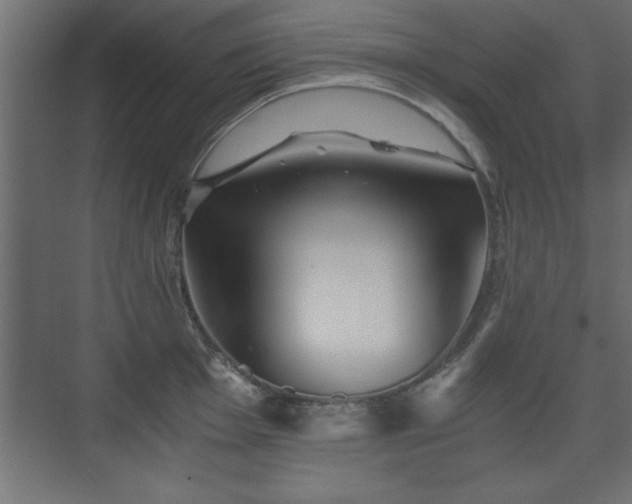 X0000075911001200609151424