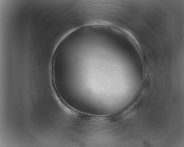X0000075911003200609151424