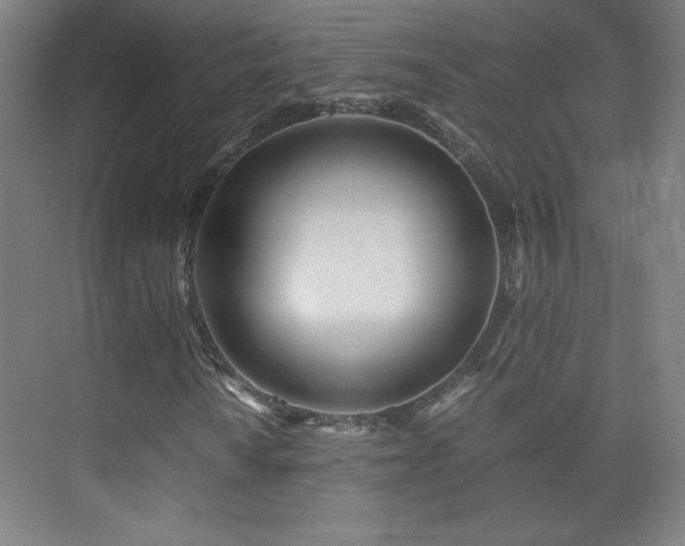 X0000075911010200609151423