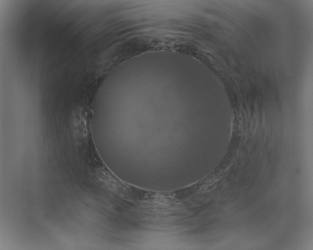 X0000075911013200609151423