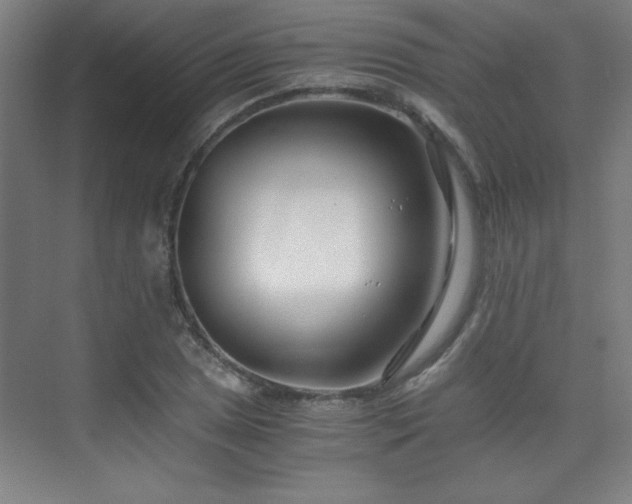 X0000075911025200609151423