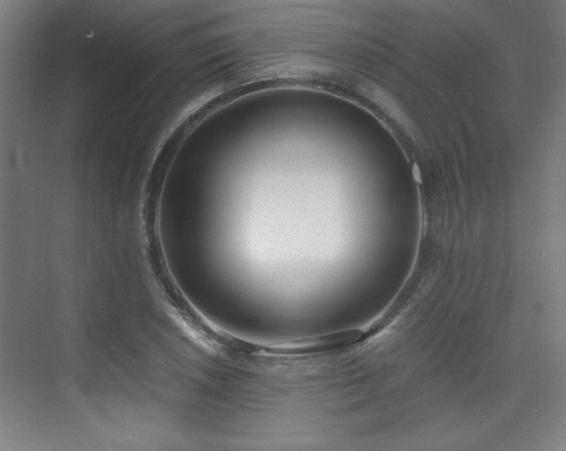 X0000075911026200609151423