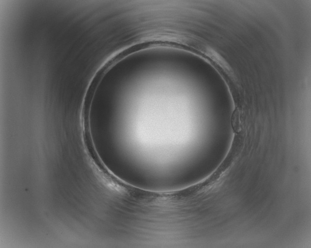 X0000075911028200609151423