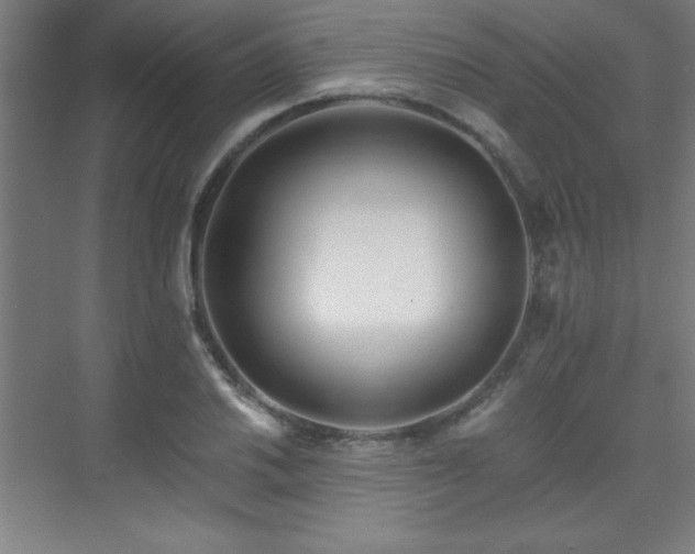 X0000075911030200609151423