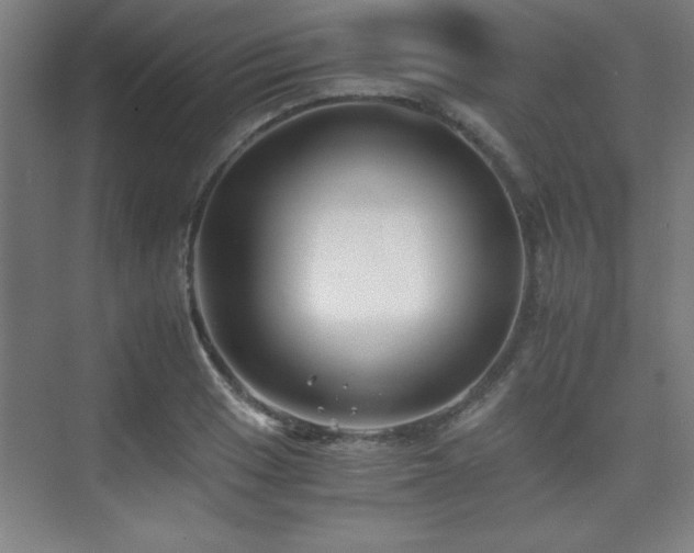 X0000075911033200609151423