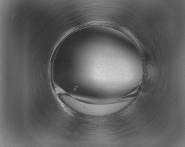 X0000075911050200609151424