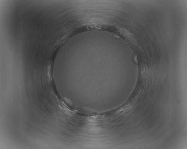 X0000075911060200609151423