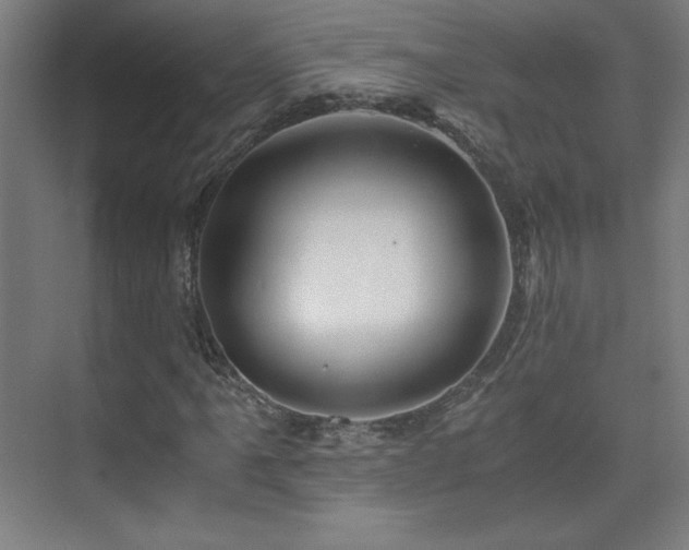 X0000075911061200609151423