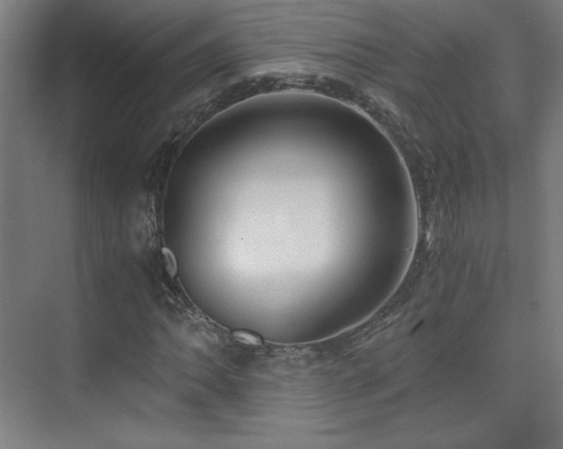 X0000075911062200609151423