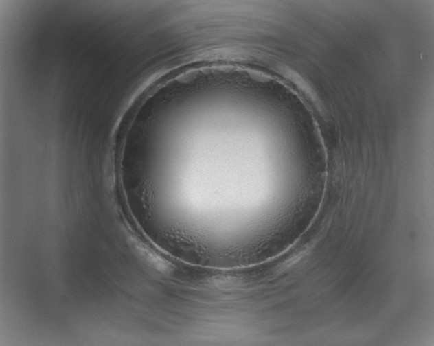 X0000075911075200609151423