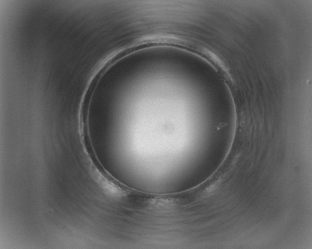 X0000075911082200609151422