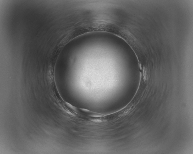 X0000075911107200609151421
