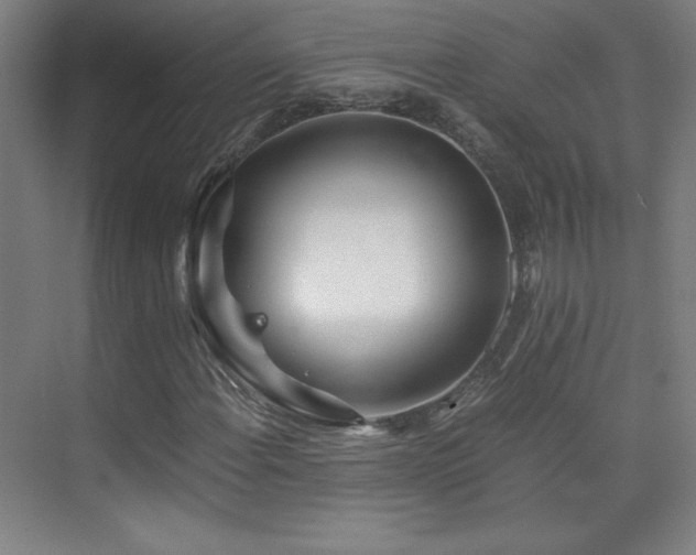 X0000075911108200609151421