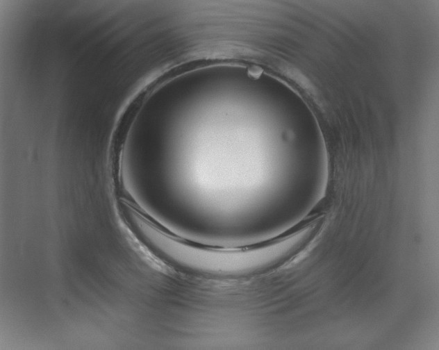 X0000075911122200609151422