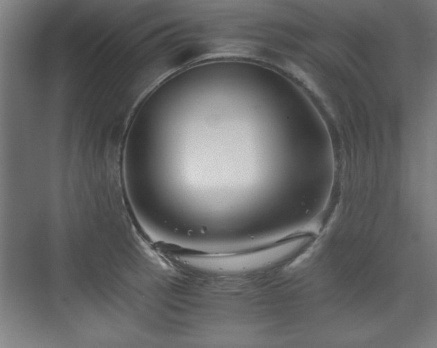 X0000075911137200609151422