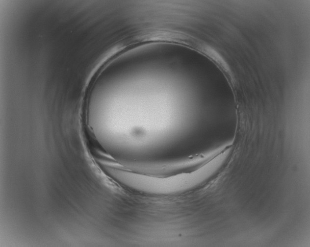 X0000075911138200609151422
