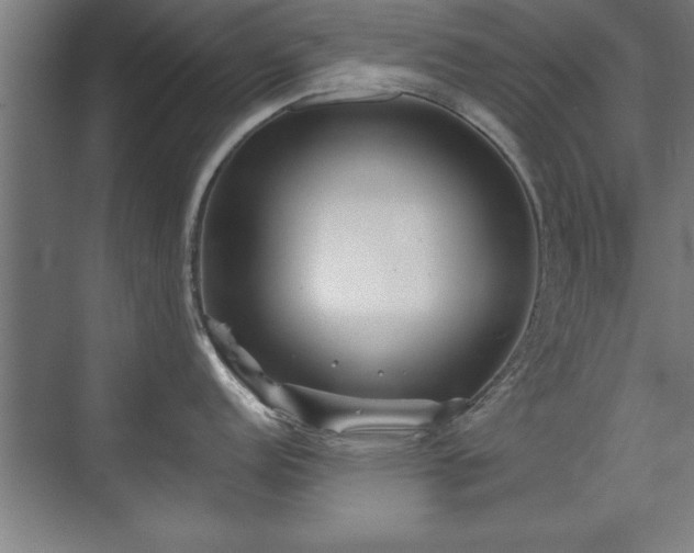 X0000075911152200609151422