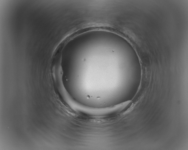 X0000075911165200609151421