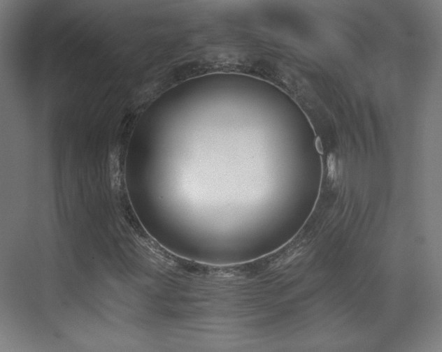 X0000075911203200609151420