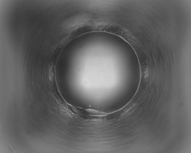 X0000075911204200609151420