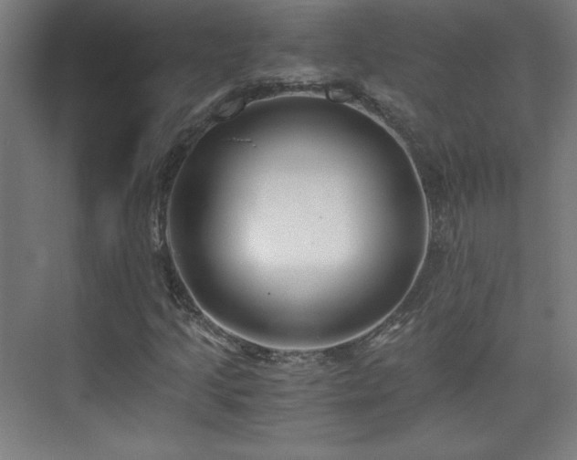 X0000075911205200609151420