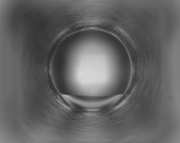 X0000075911210200609151420