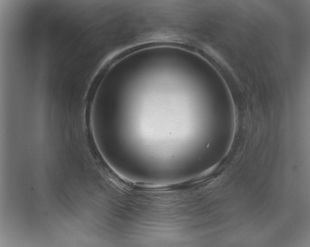 X0000075911222200609151420