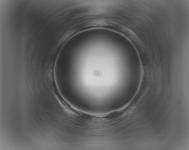 X0000075911225200609151420