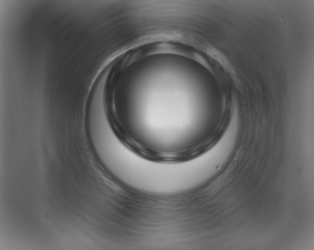 X0000075911226200609151420