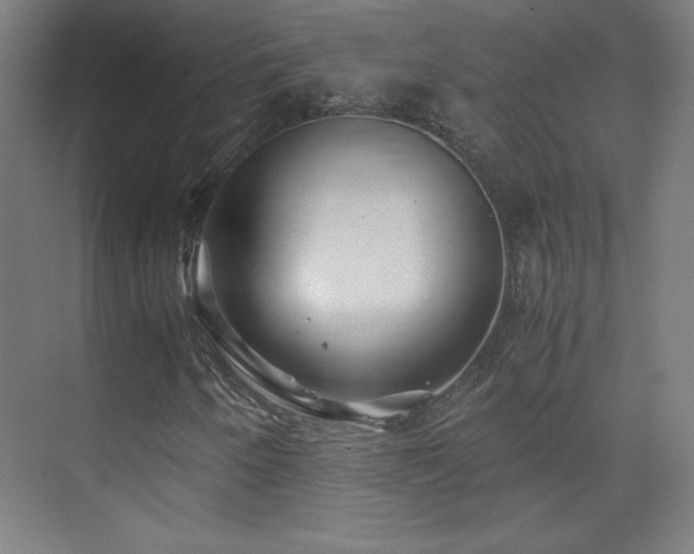X0000075911250200609151420