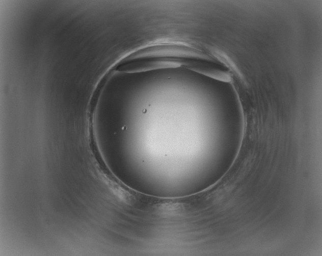 X0000075911268200609151419