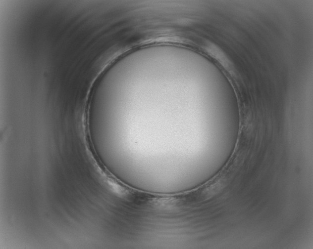 X0000075911282200609151419