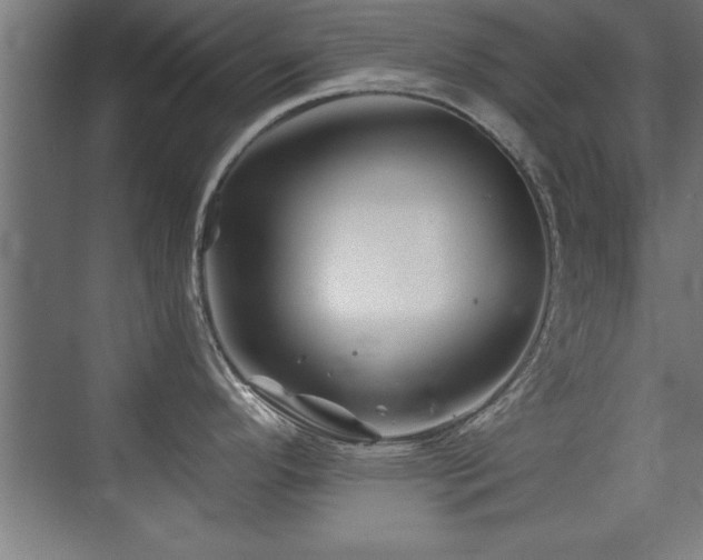 X0000075911296200609151419