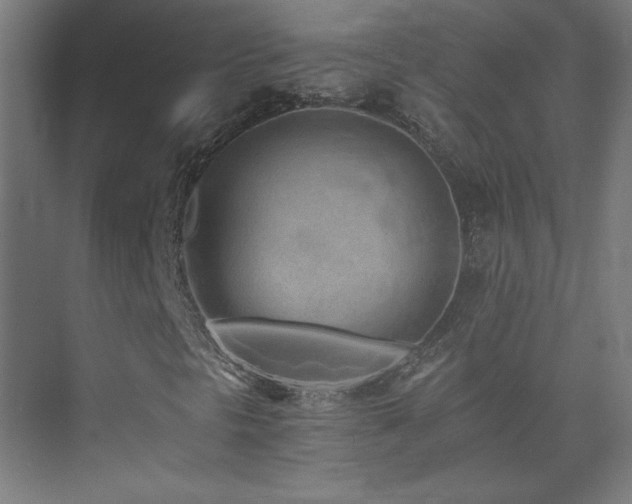 X0000075911297200609151418
