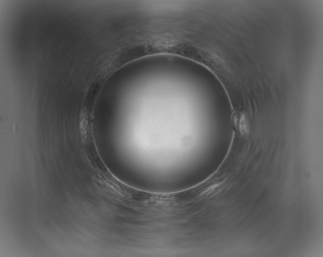X0000075911299200609151418