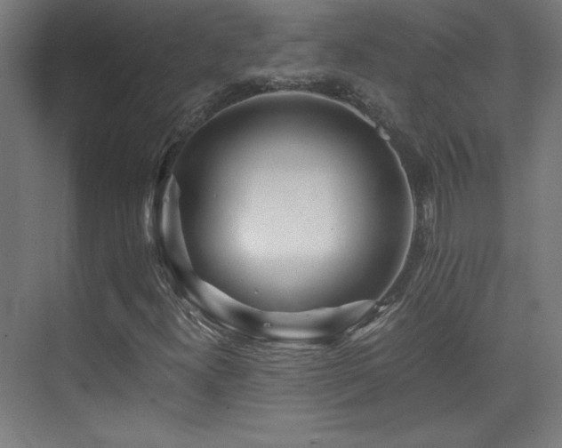 X0000075911300200609151418
