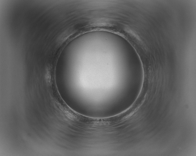 X0000075911305200609151418