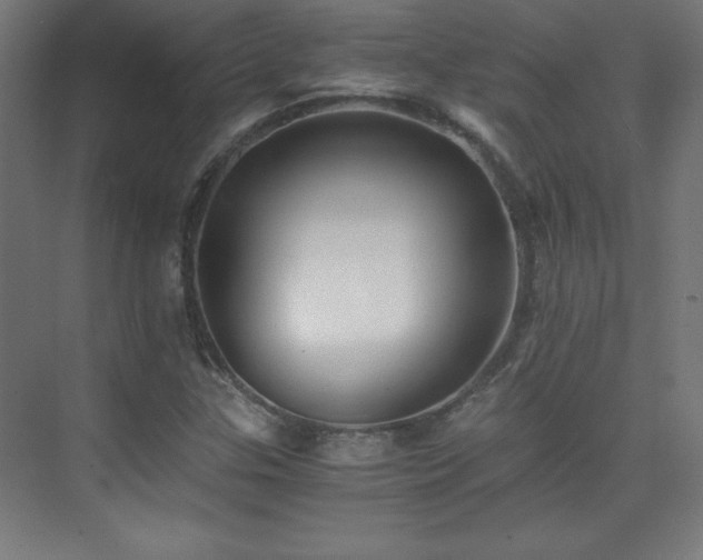 X0000075911307200609151418