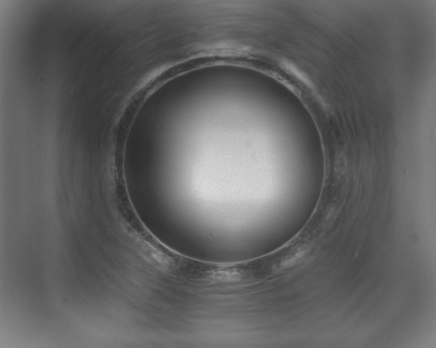 X0000075911315200609151418