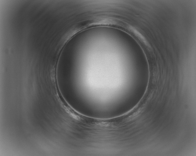 X0000075911329200609151419