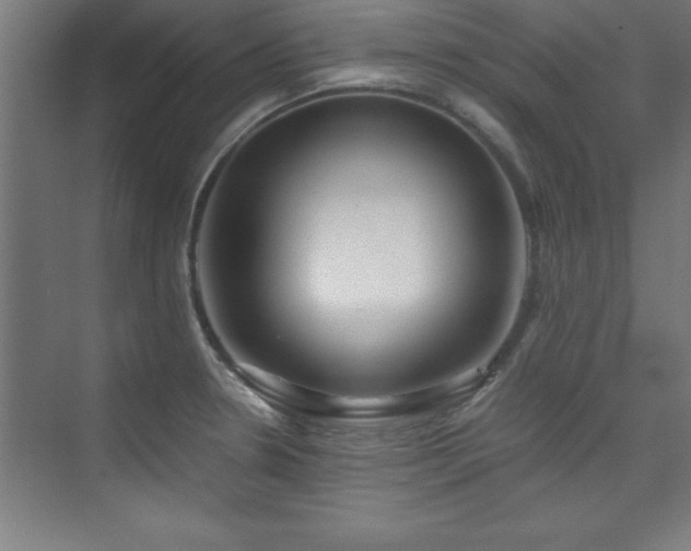 X0000075911330200609151419