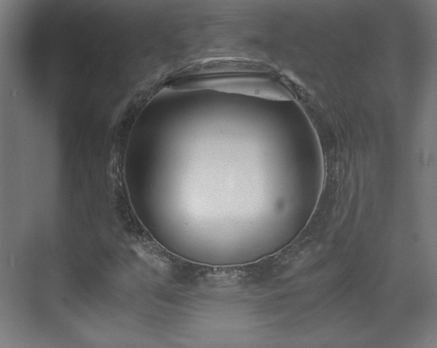 X0000075911351200609151418