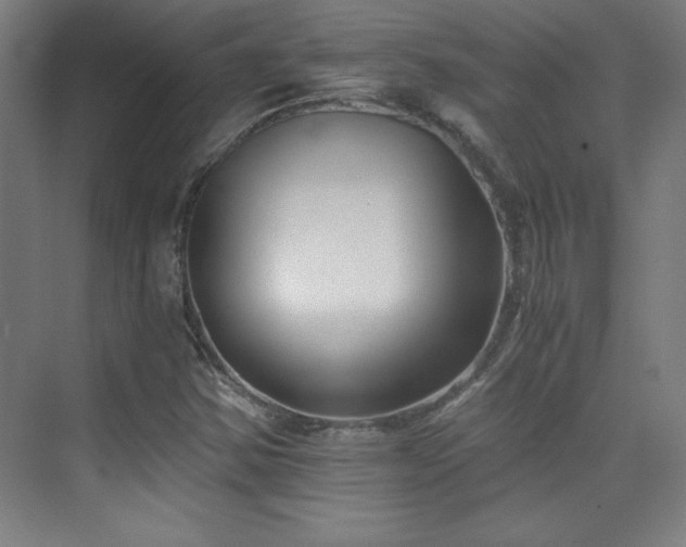 X0000075911354200609151418