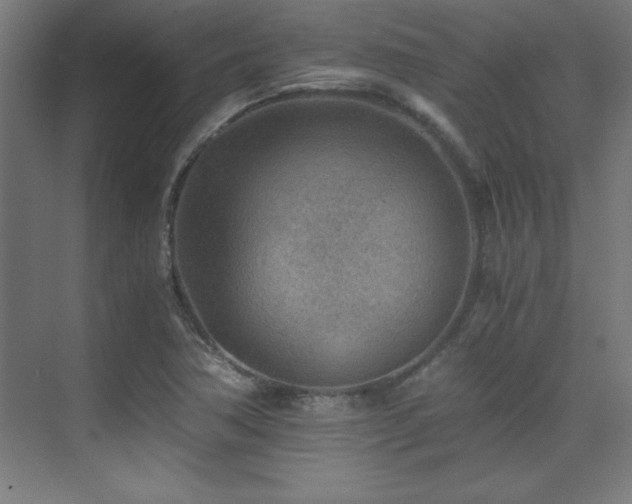 X0000075911362200609151418