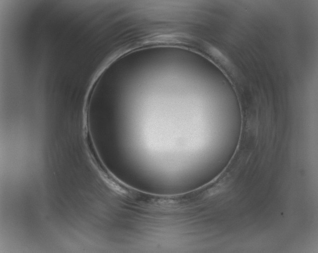 X0000075911370200609151418